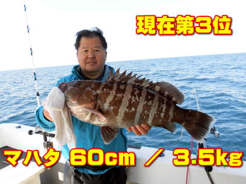 現在第3位 マハタ 60cm / 3.5kg
