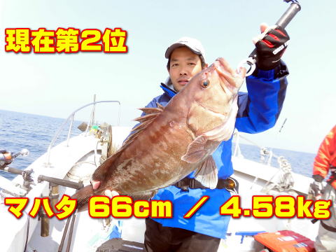 現在第2位 マハタ 66cm / 4.58kg