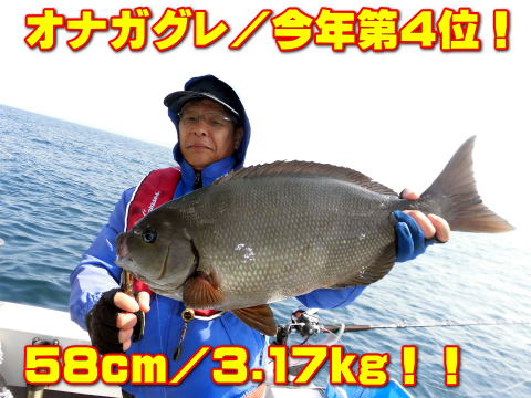 オナガグレ/今年第4位! 58cm/3.17kg!!