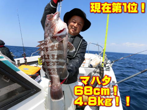 現在第1位! マハタ 68cm! 4.8kg!!