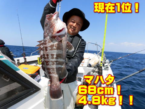 現在1位! マハタ 68cm! 4.8kg!!