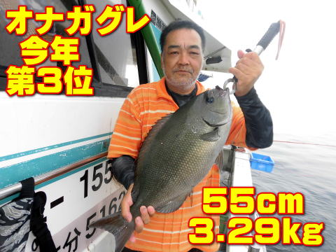 オナガグレ 今年 第3位 55cm 3.29kg